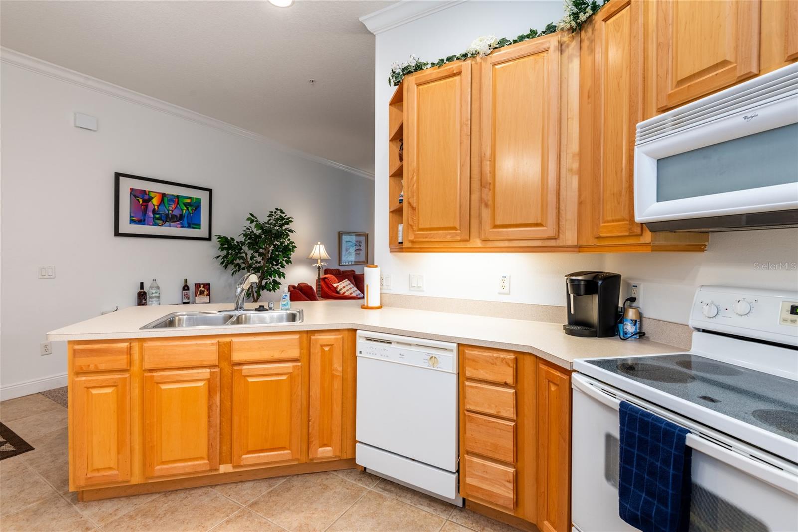 6801 DALI AVE #G205, LAND O LAKES, FL, 34637