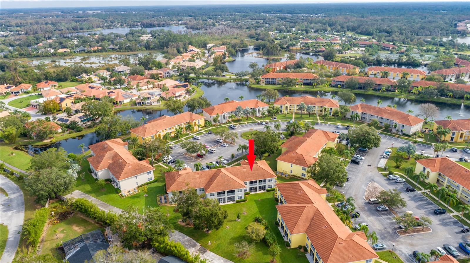 6801 DALI AVE #G205, LAND O LAKES, FL, 34637