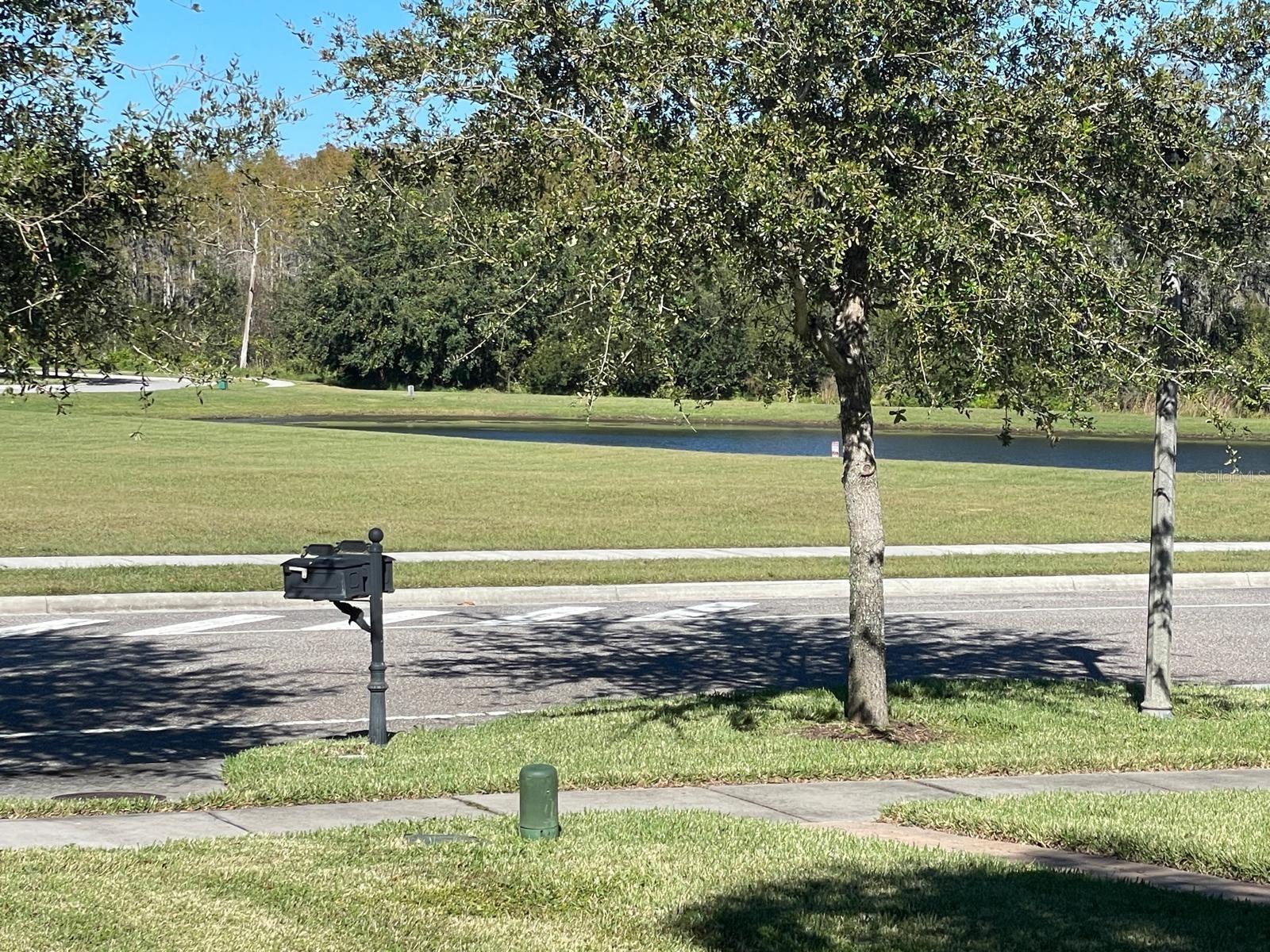15245 AVENUE OF THE ARBORS AVE, WINTER GARDEN, FL, 34787