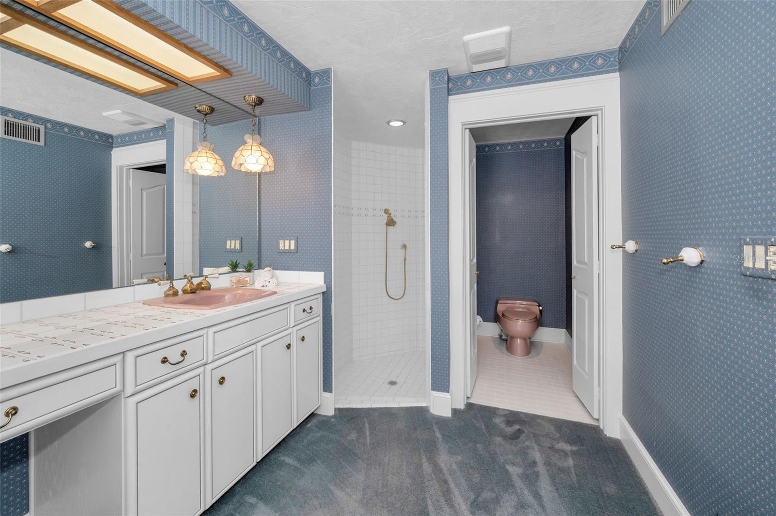 3418 BRAESIDE PL, CLEARWATER, FL, 33759