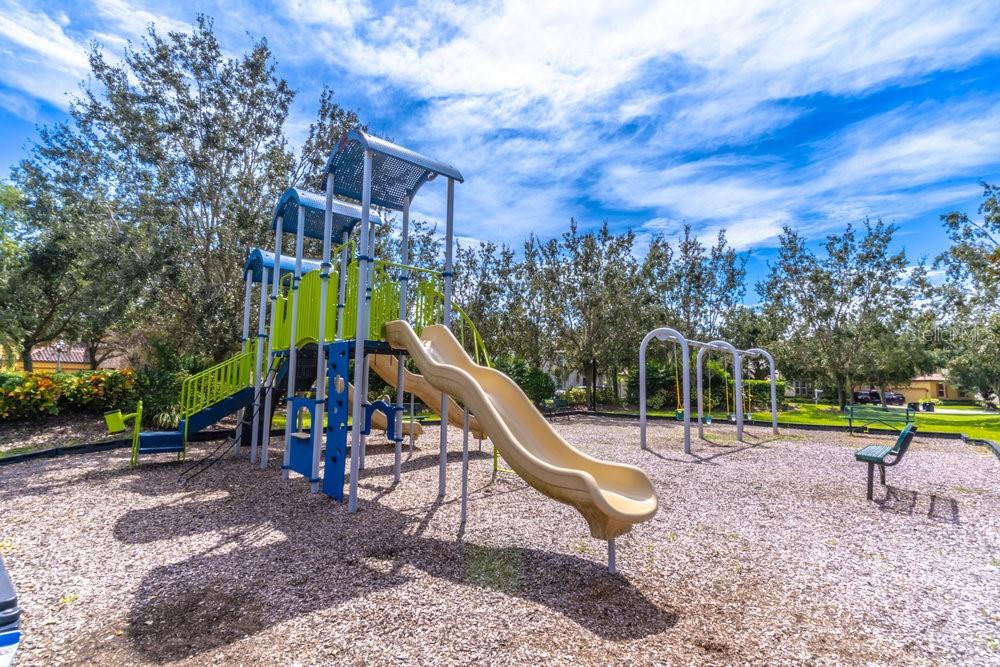 11656 BLACK RAIL ST, WINDERMERE, FL, 34786