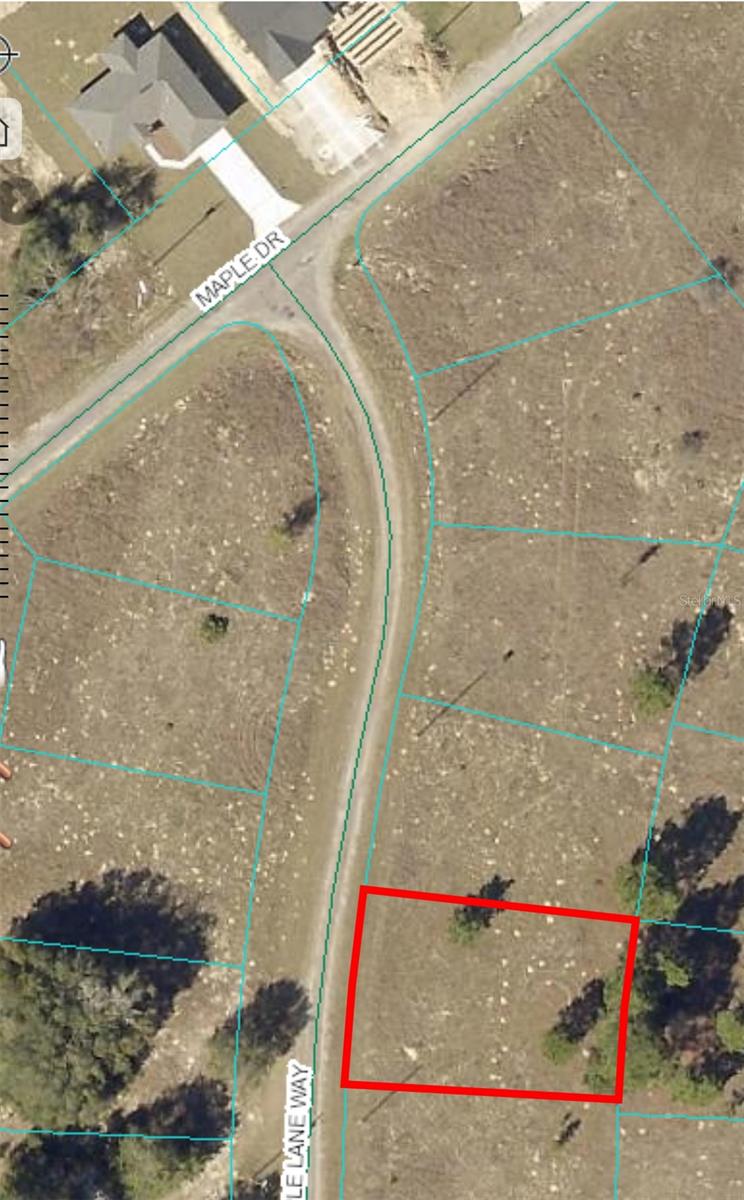 11 MAPLE LANE WAY, OCKLAWAHA, FL, 32179