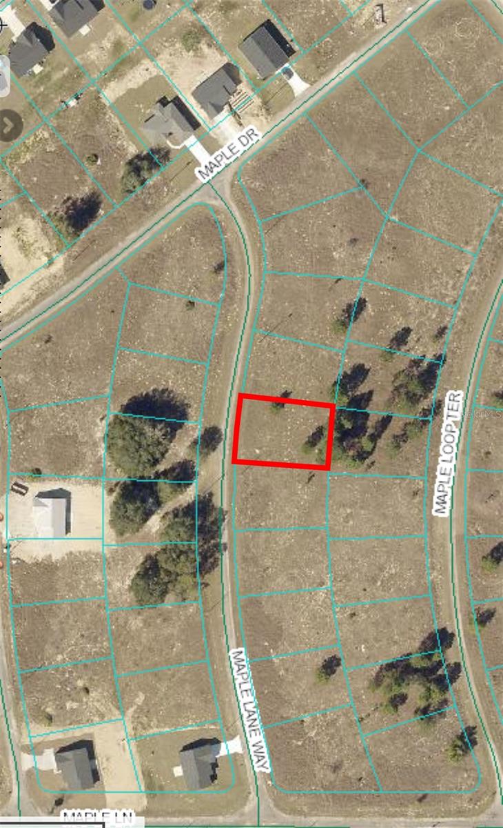 11 MAPLE LANE WAY, OCKLAWAHA, FL, 32179