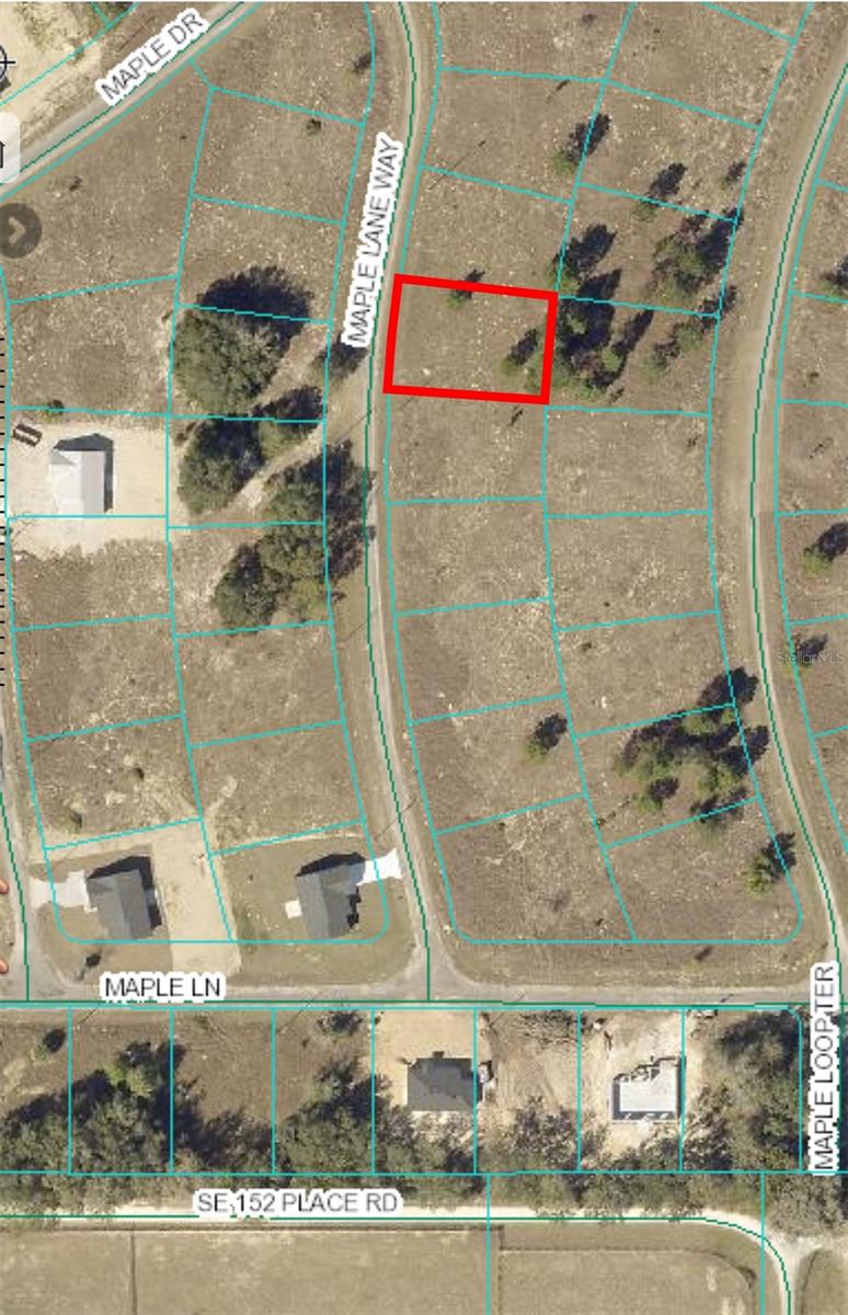 11 MAPLE LANE WAY, OCKLAWAHA, FL, 32179