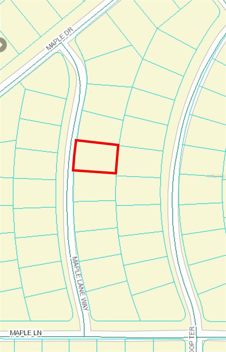 11 MAPLE LANE WAY, OCKLAWAHA, FL, 32179