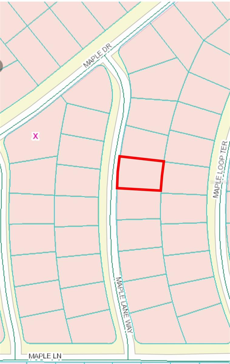 11 MAPLE LANE WAY, OCKLAWAHA, FL, 32179