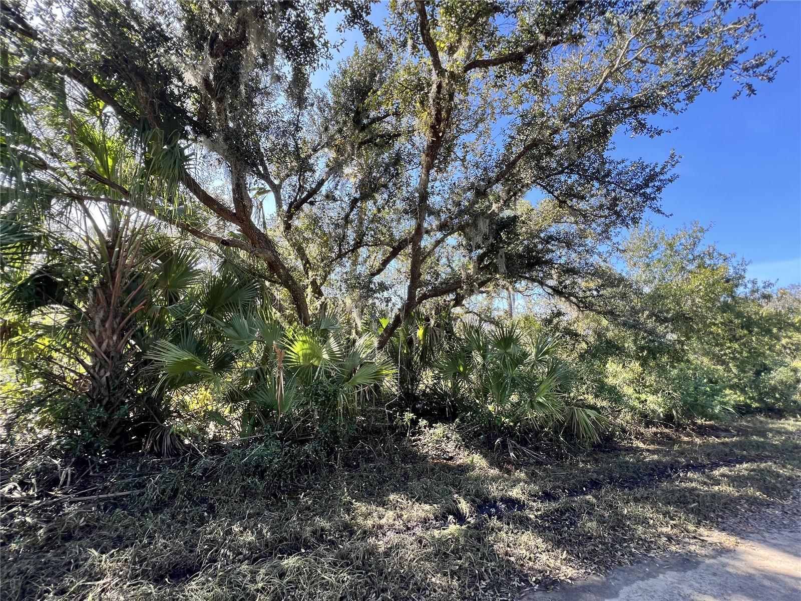 Lot 5 JEMING RD, NORTH PORT, FL, 34286