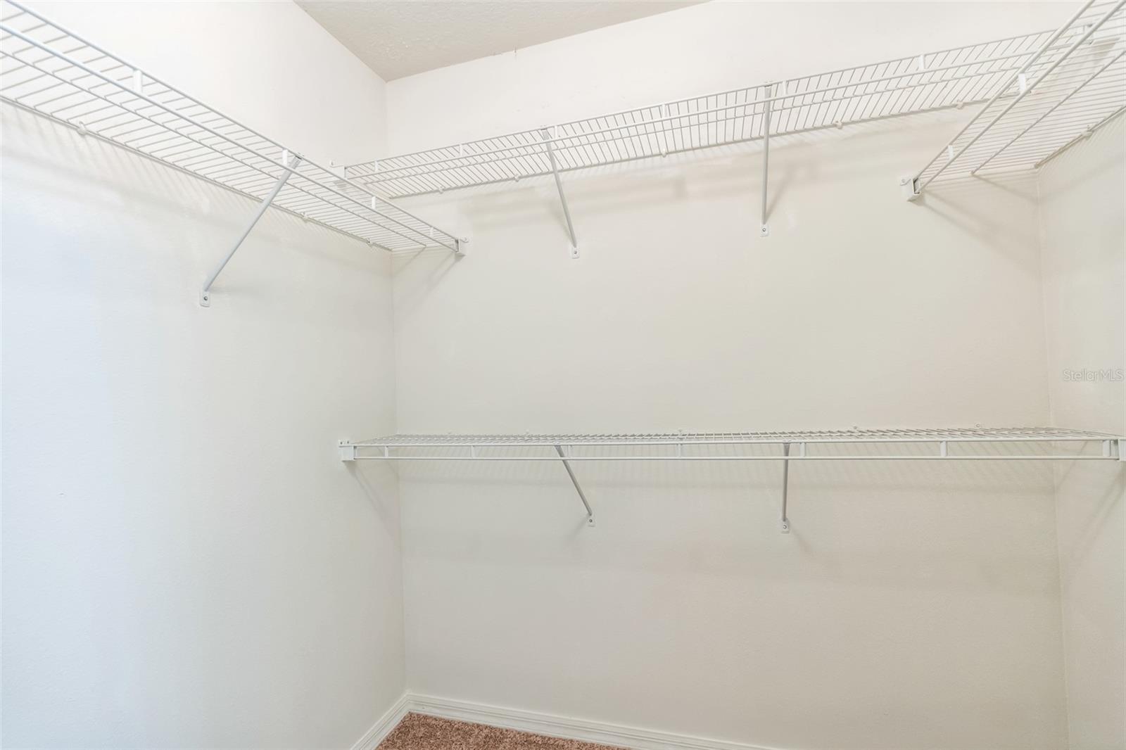 3329 WHITE BLOSSOM LN, CLERMONT, FL, 34711