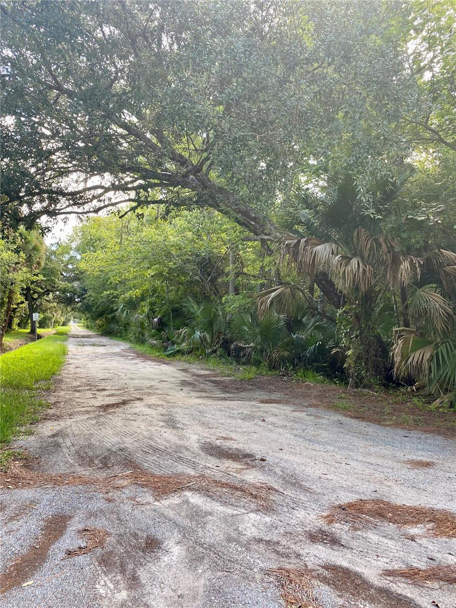 170 PEARL EST, EDGEWATER, FL, 32132