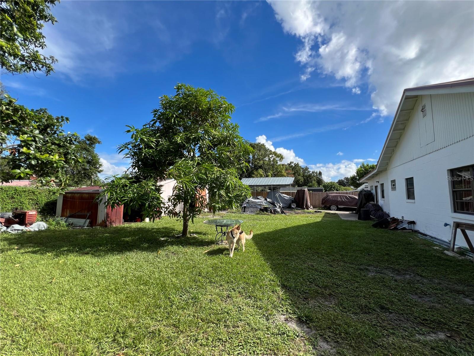 6023 SAGE DR, ORLANDO, FL, 32807