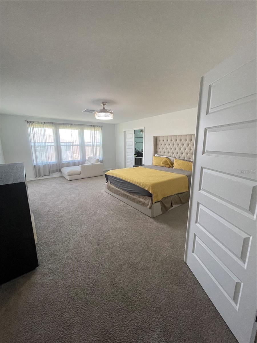 7728 BRONZE OAK DR, WESLEY CHAPEL, FL, 33545
