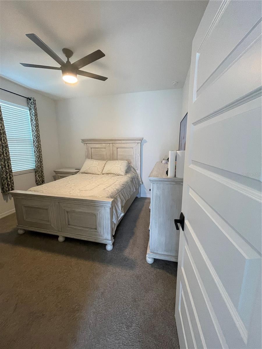 7728 BRONZE OAK DR, WESLEY CHAPEL, FL, 33545