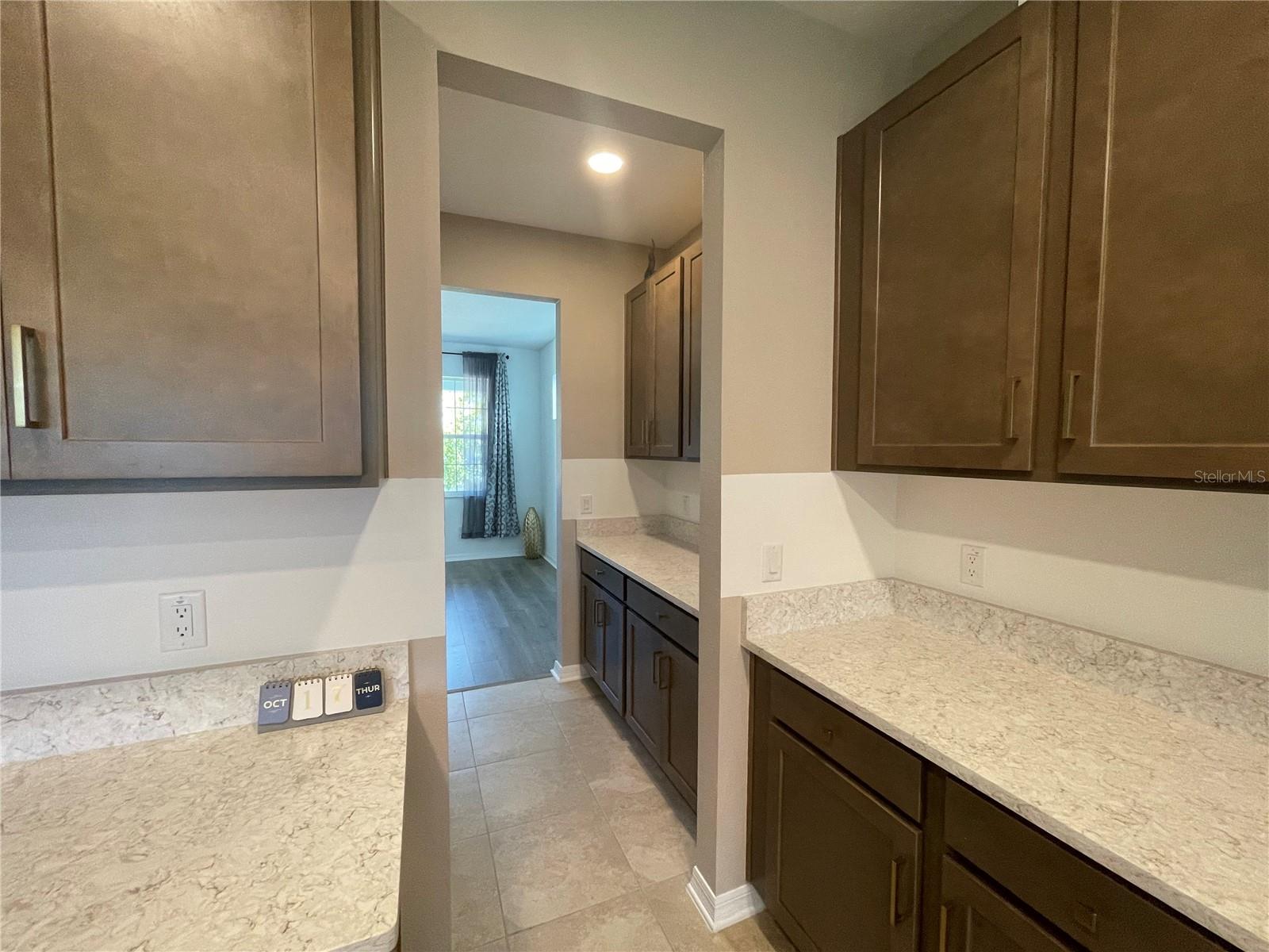 7728 BRONZE OAK DR, WESLEY CHAPEL, FL, 33545