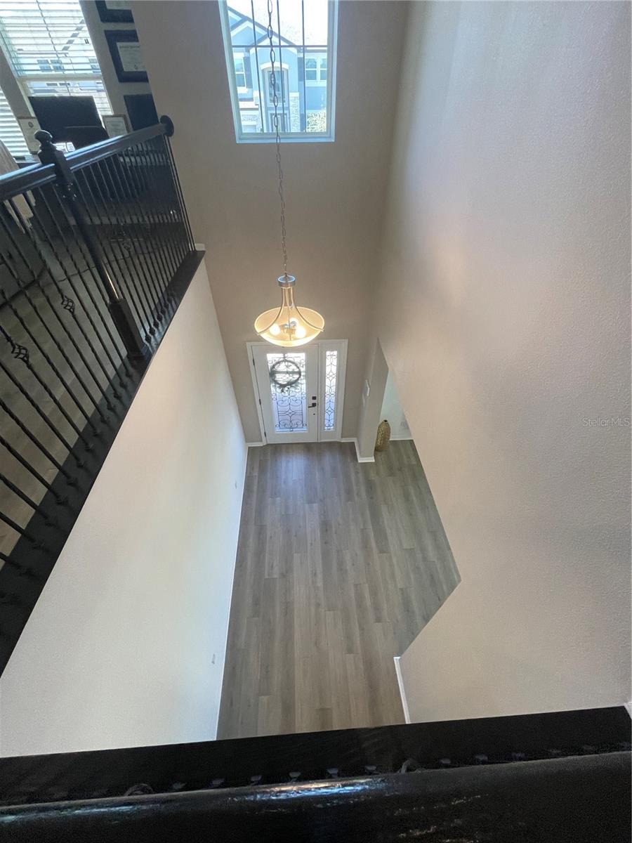 7728 BRONZE OAK DR, WESLEY CHAPEL, FL, 33545