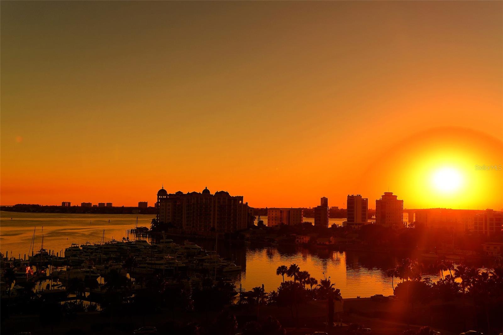 1233 N GULFSTREAM AVE #1001, SARASOTA, FL, 34236