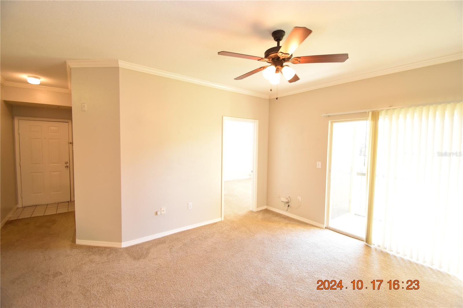 5610 PINNACLE HEIGHTS CIR #203, TAMPA, FL, 33624