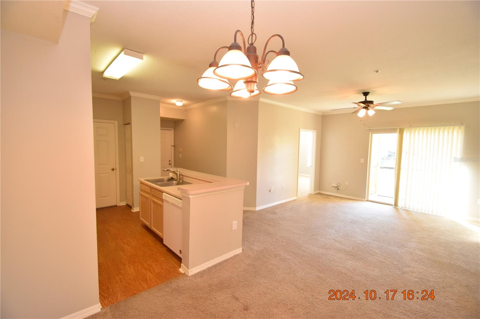 5610 PINNACLE HEIGHTS CIR #203, TAMPA, FL, 33624
