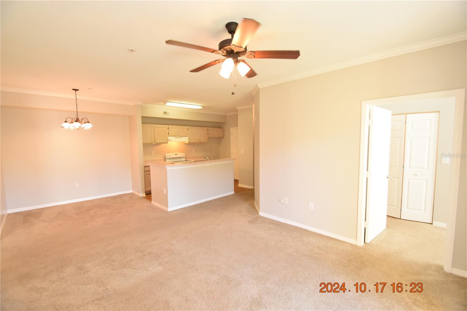 5610 PINNACLE HEIGHTS CIR #203, TAMPA, FL, 33624