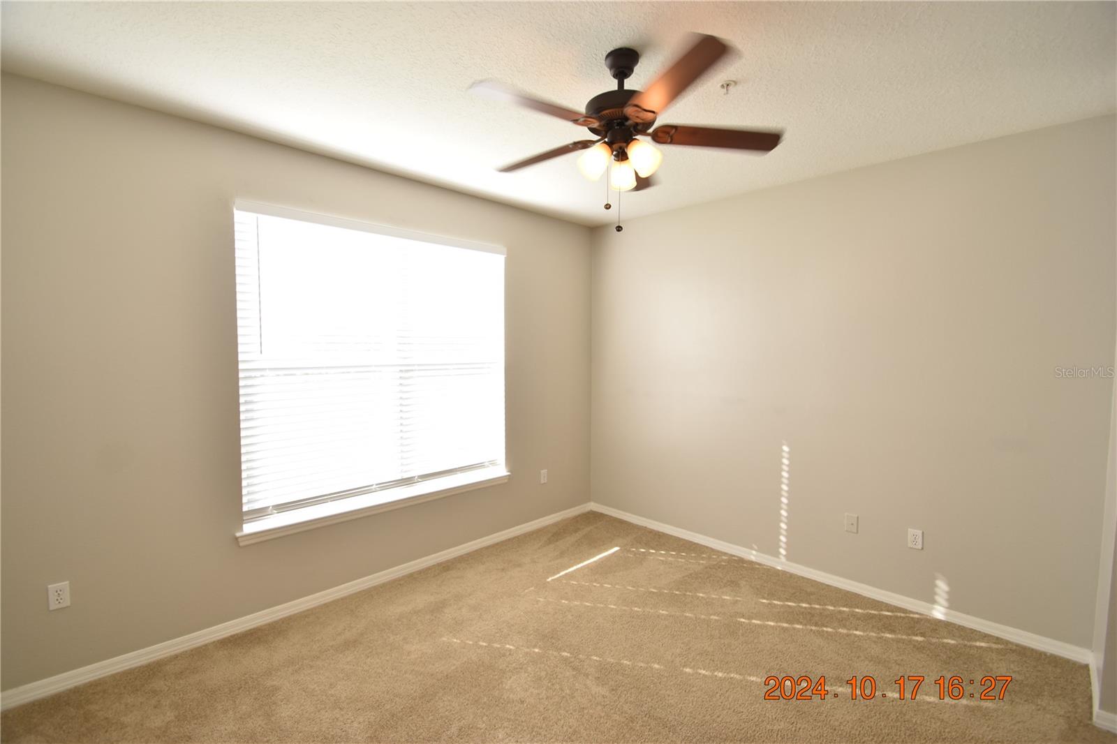 5610 PINNACLE HEIGHTS CIR #203, TAMPA, FL, 33624