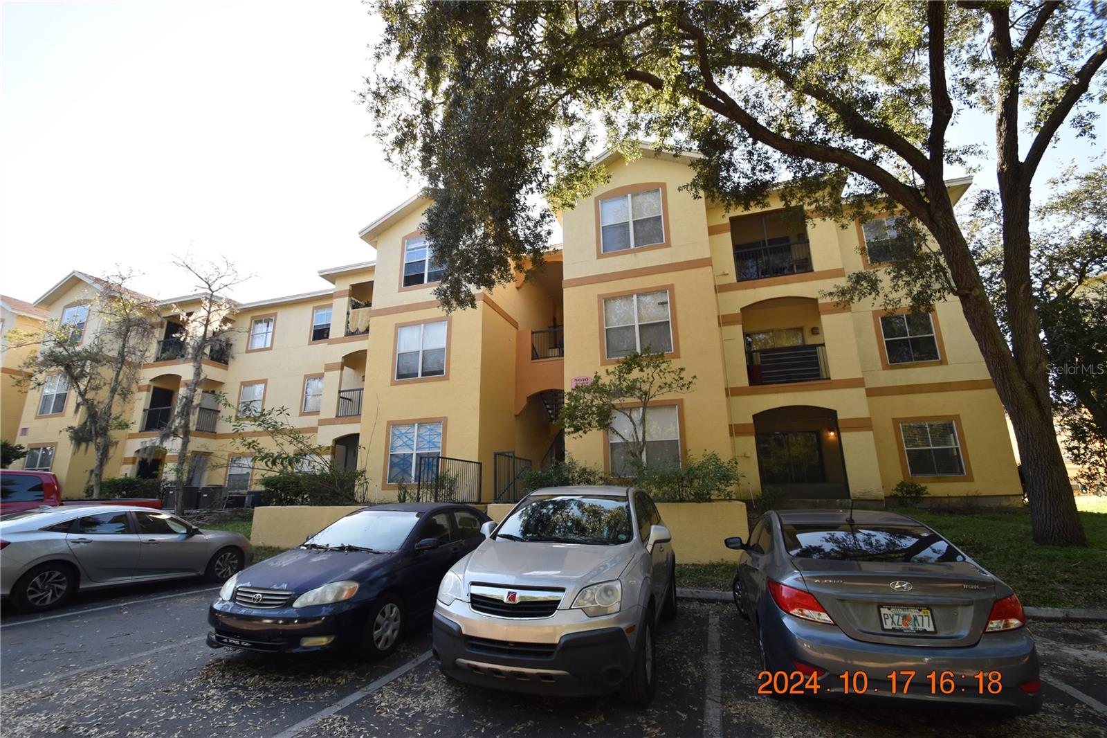 5610 PINNACLE HEIGHTS CIR #203, TAMPA, FL, 33624