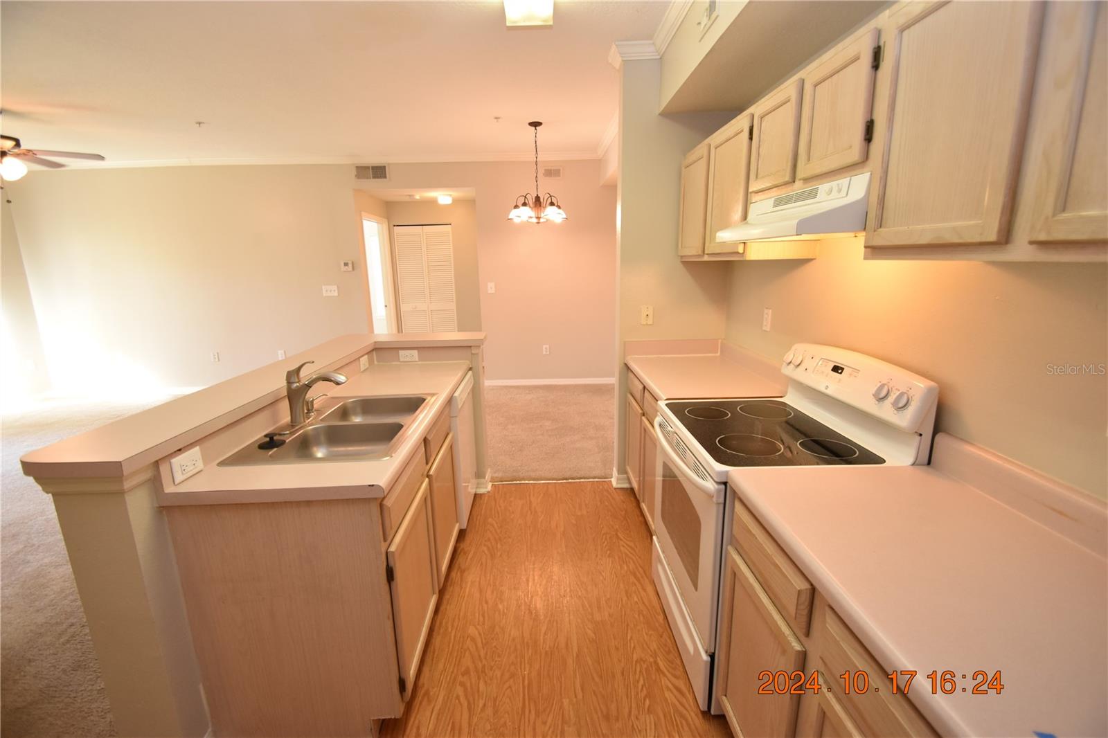 5610 PINNACLE HEIGHTS CIR #203, TAMPA, FL, 33624