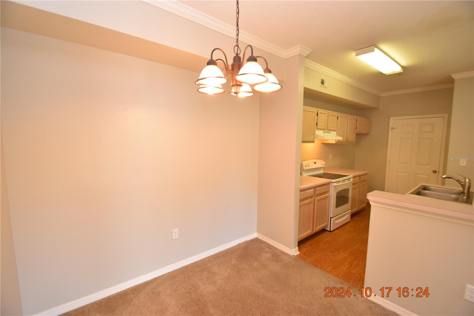 5610 PINNACLE HEIGHTS CIR #203, TAMPA, FL, 33624