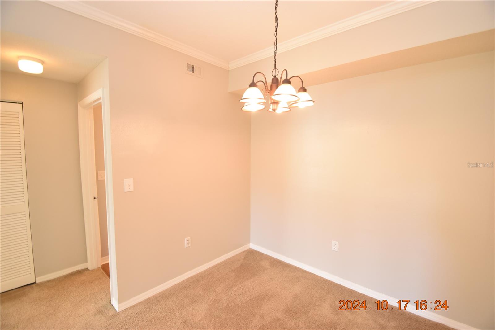5610 PINNACLE HEIGHTS CIR #203, TAMPA, FL, 33624