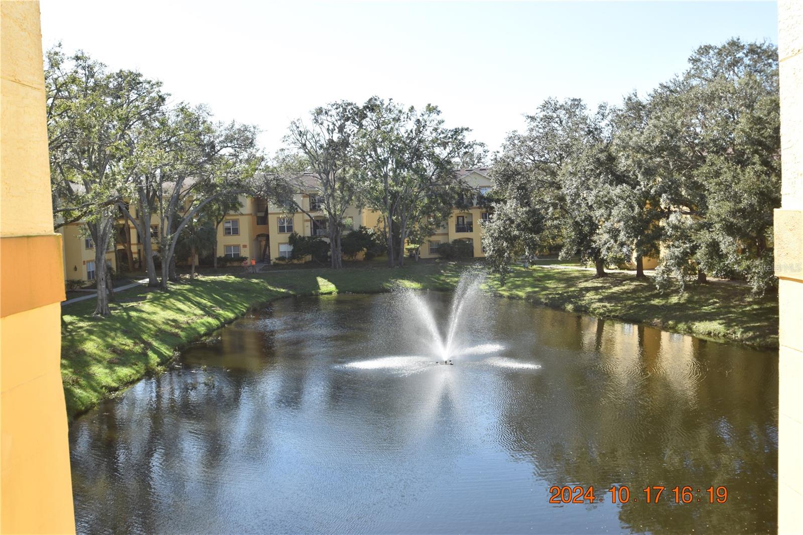 5610 PINNACLE HEIGHTS CIR #203, TAMPA, FL, 33624
