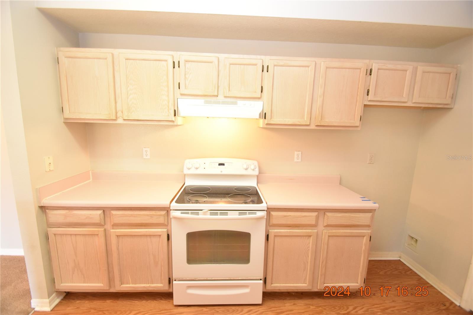 5610 PINNACLE HEIGHTS CIR #203, TAMPA, FL, 33624