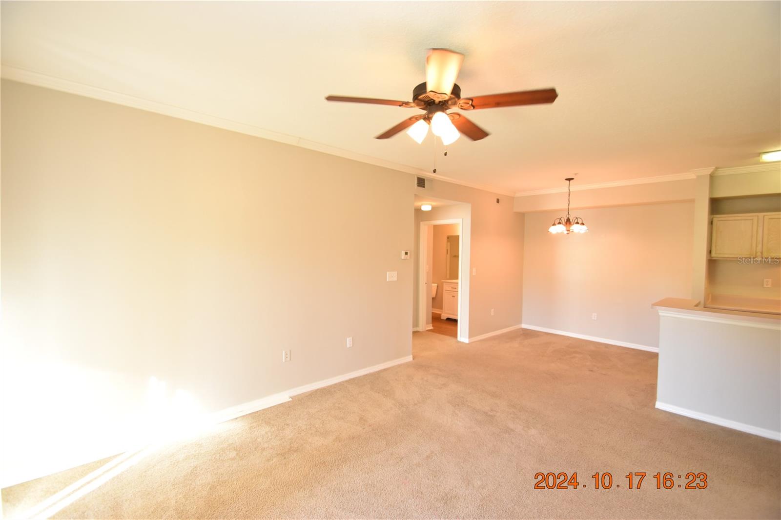 5610 PINNACLE HEIGHTS CIR #203, TAMPA, FL, 33624