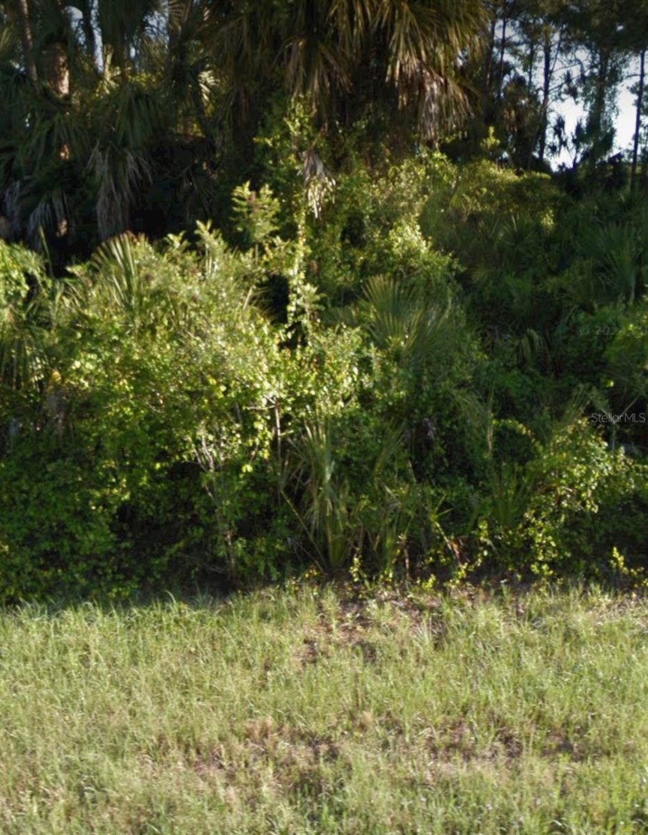 MONCRIEF AVE #lot 41, NORTH PORT, FL, 34286