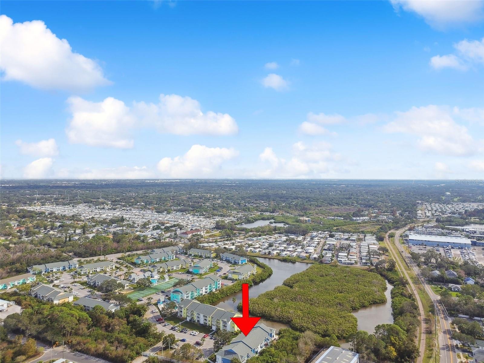 455 ALT 19 S #151, PALM HARBOR, FL, 34683