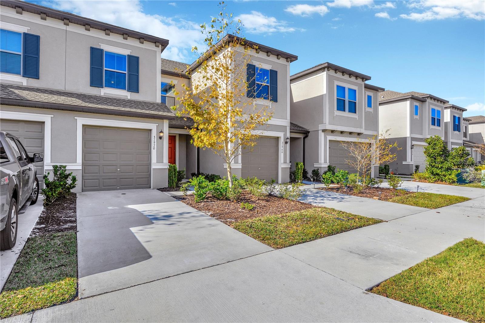 31970 BLUE PASSING LOOP, WESLEY CHAPEL, FL, 33545