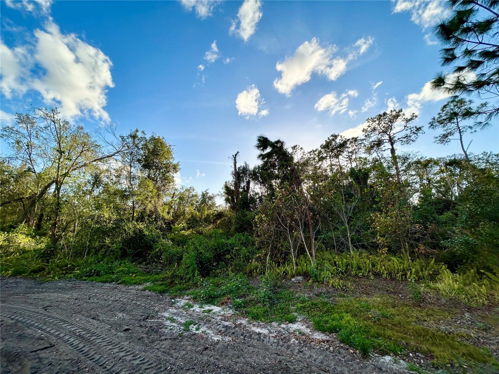 1211 W GRANT ST, PLANT CITY, FL, 33563