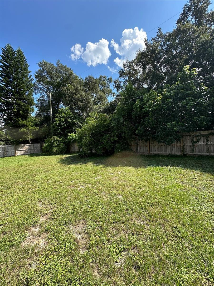 2300 WESTLAND RD, MOUNT DORA, FL, 32757