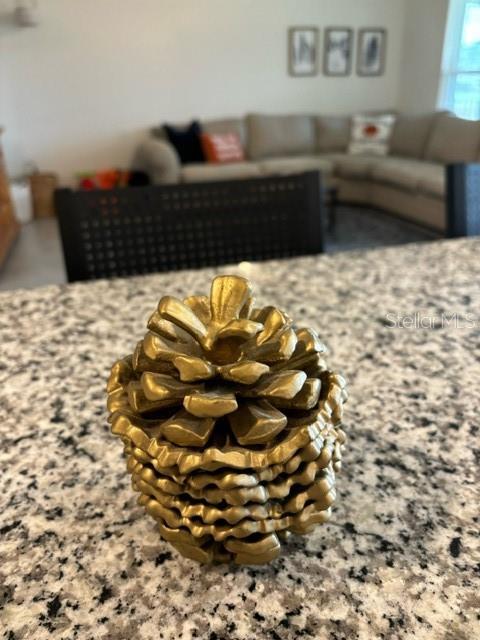 8574 TRIUMPH CIR, WILDWOOD, FL, 34785