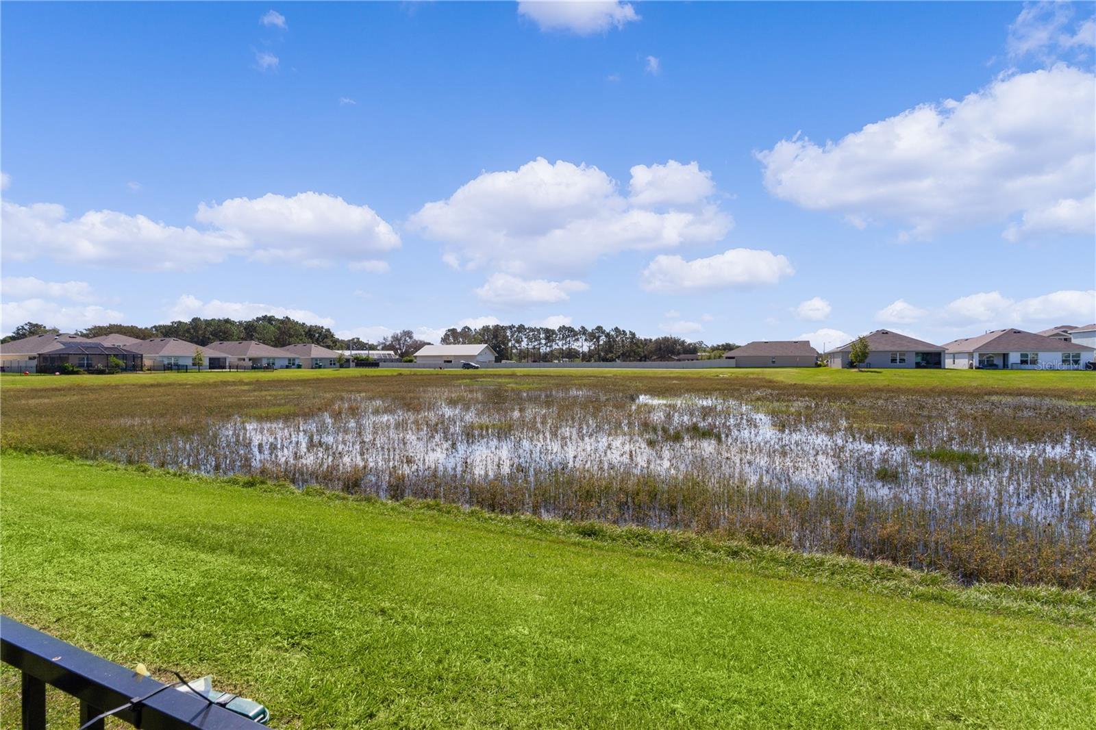 8574 TRIUMPH CIR, WILDWOOD, FL, 34785