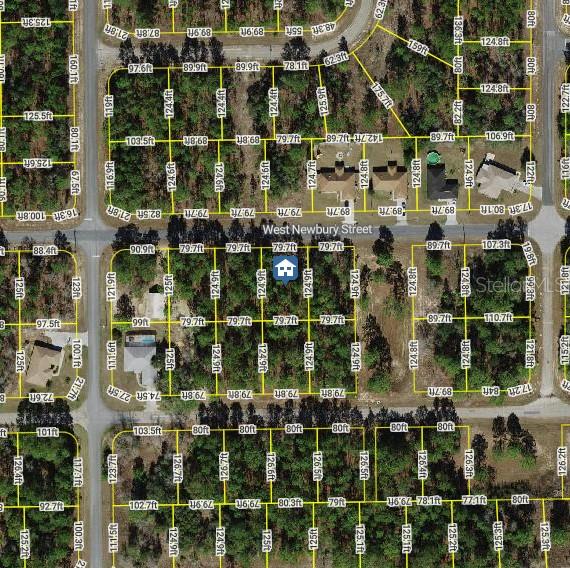 1228 W NEWBURY ST, CITRUS SPRINGS, FL, 34434