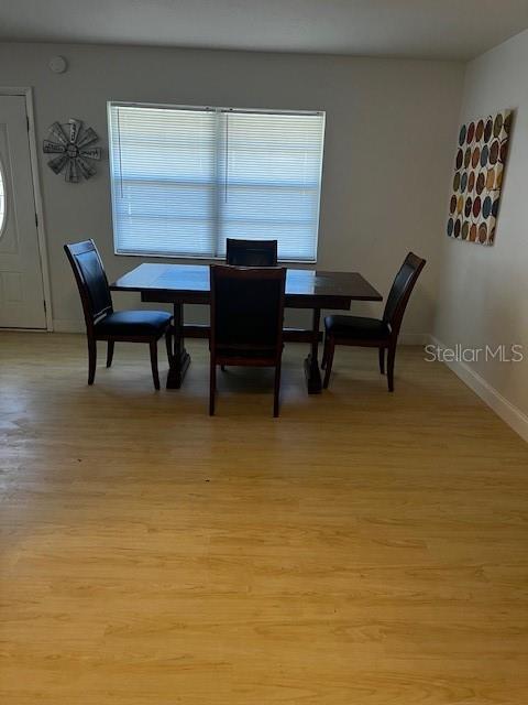 620 GOULD ST, EUSTIS, FL, 32726
