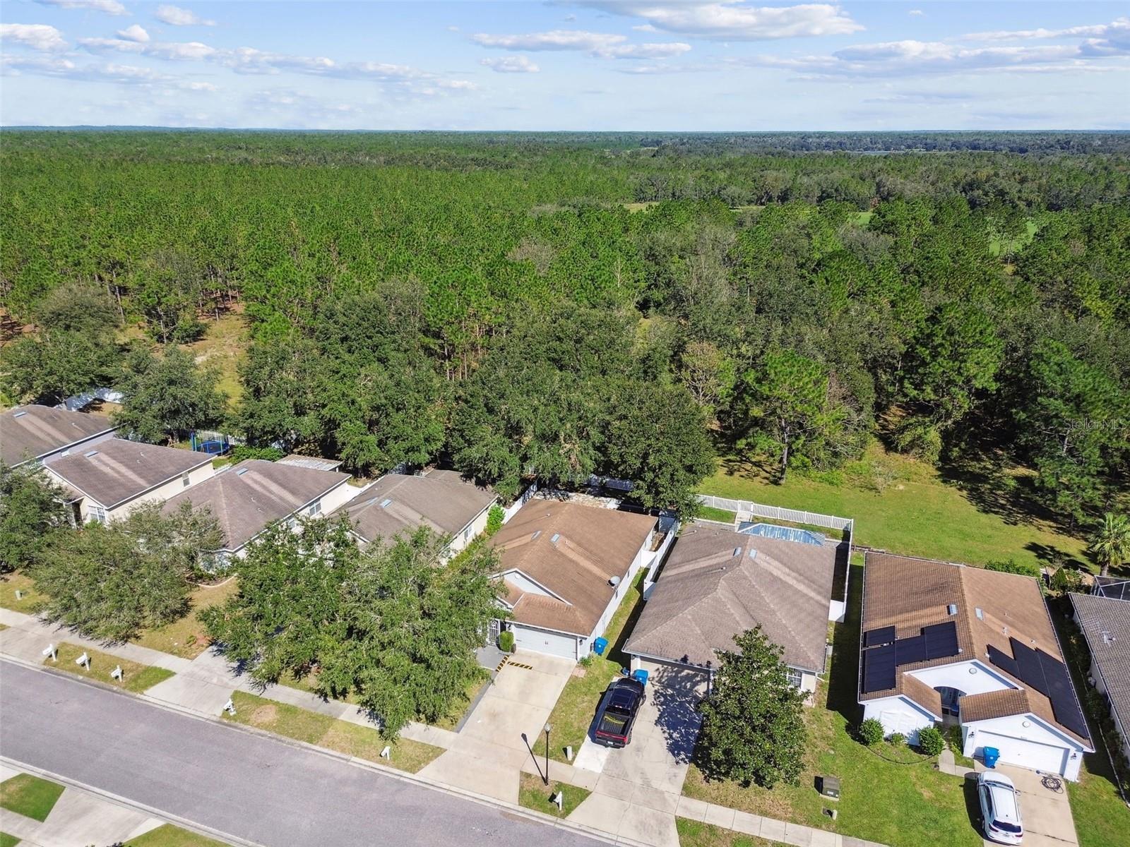 31093 SATINLEAF RUN, BROOKSVILLE, FL, 34602