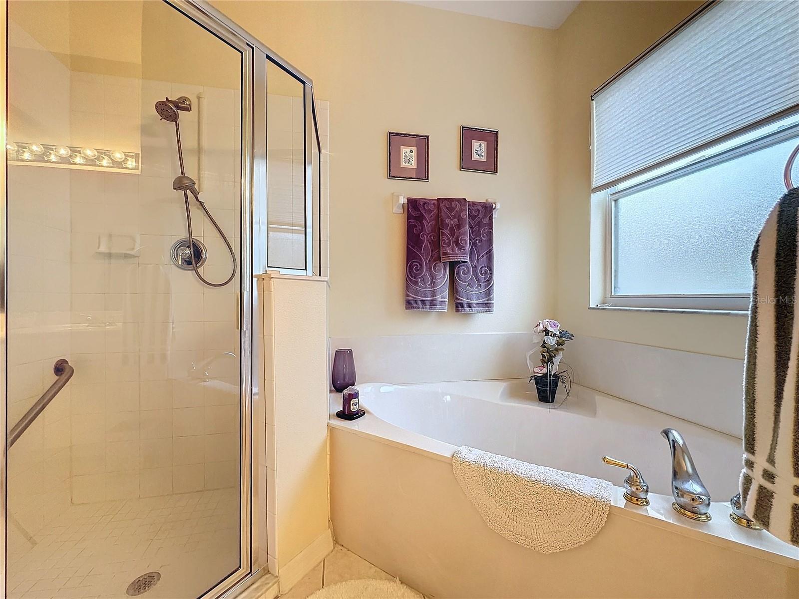 4300 HAMMERSMITH DR, CLERMONT, FL, 34711