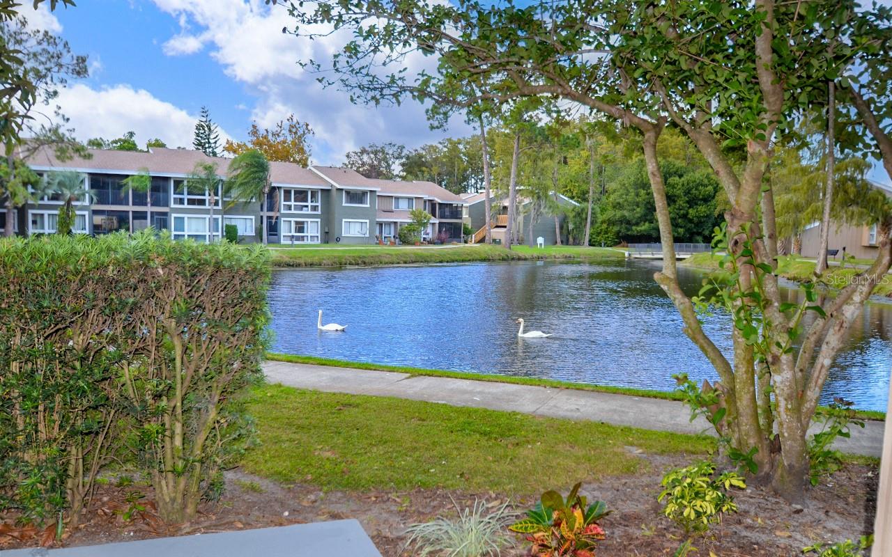 5783 PEREGRINE AVE #C07, ORLANDO, FL, 32819