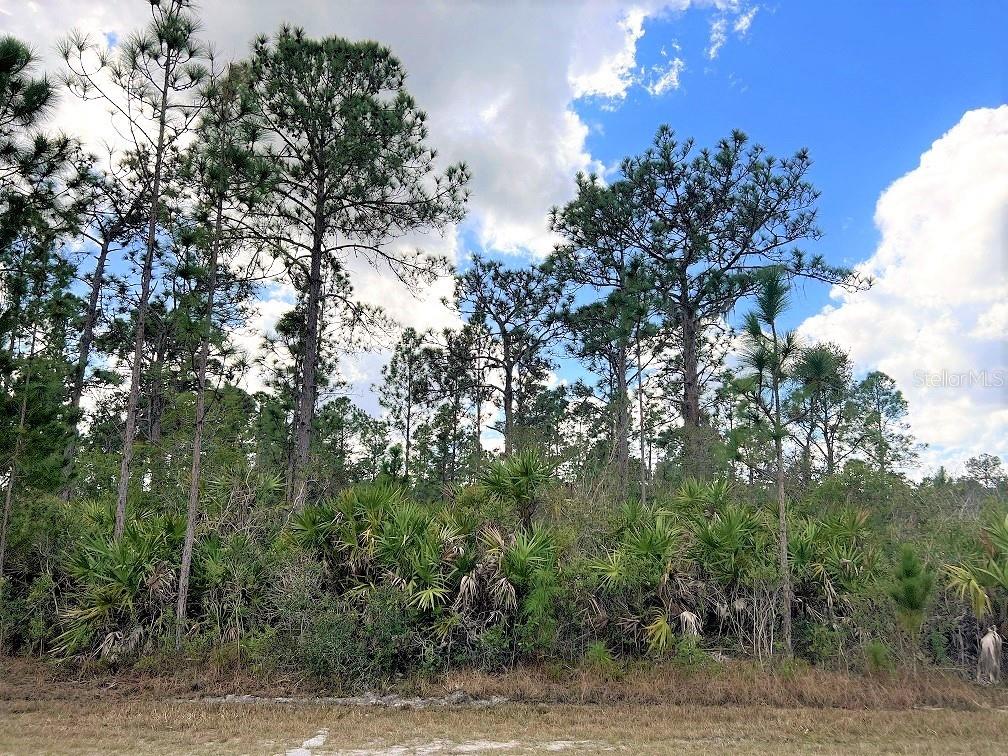 ORLANDO DR, INDIAN LAKE ESTATES, FL, 33855