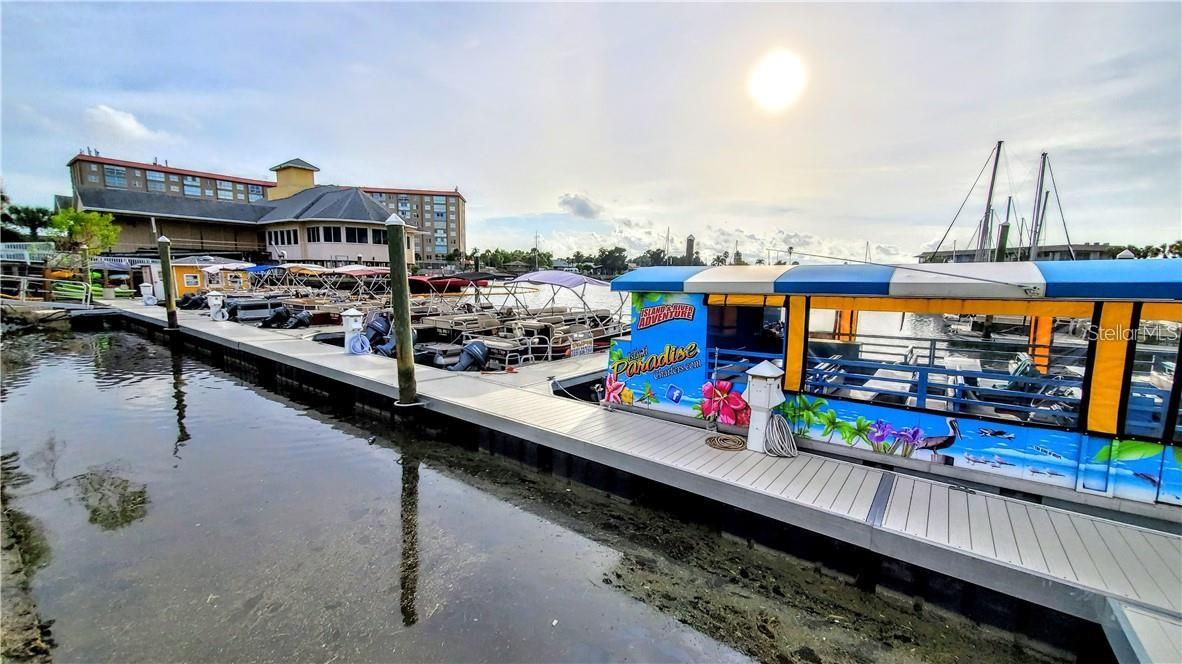 3536 KAUNA POINT DR, HOLIDAY, FL, 34691