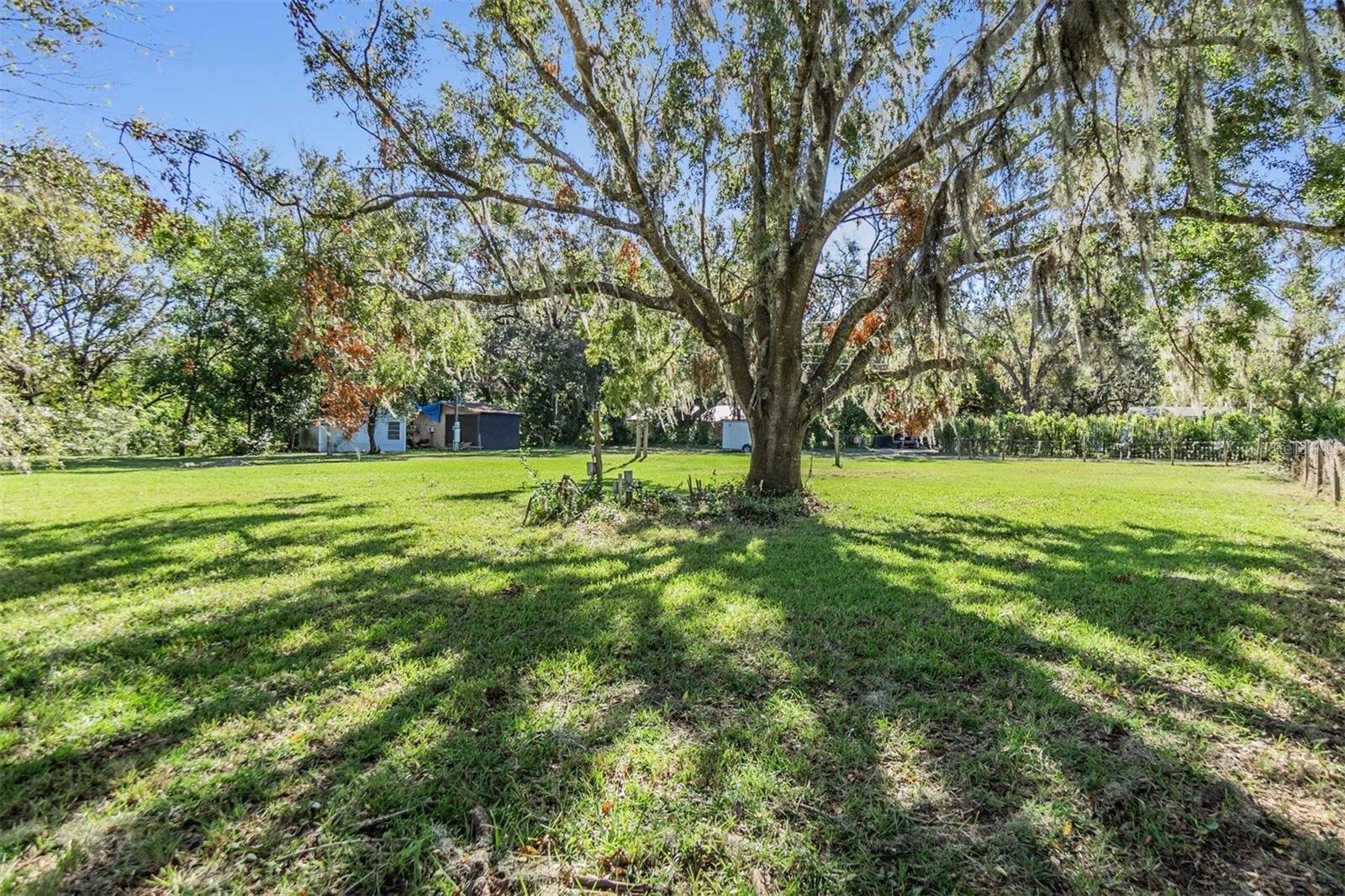 35204 PONDEROSA RD, ZEPHYRHILLS, FL, 33541