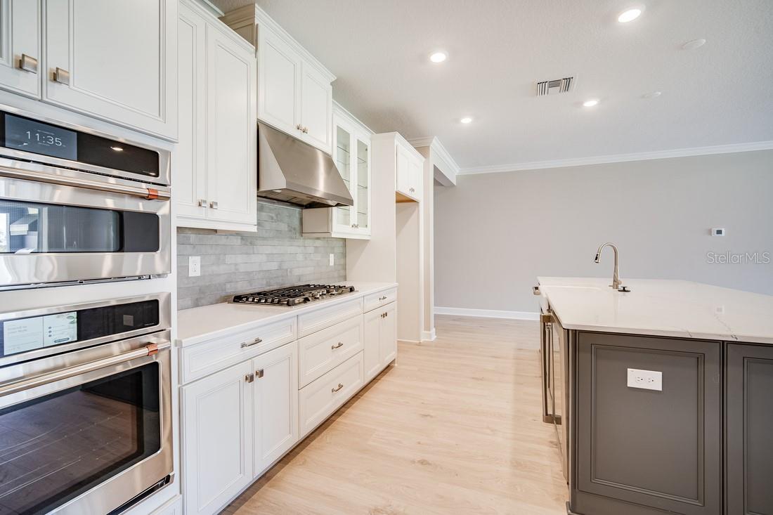 2251 OVERFALLS PL, WESLEY CHAPEL, FL, 33543