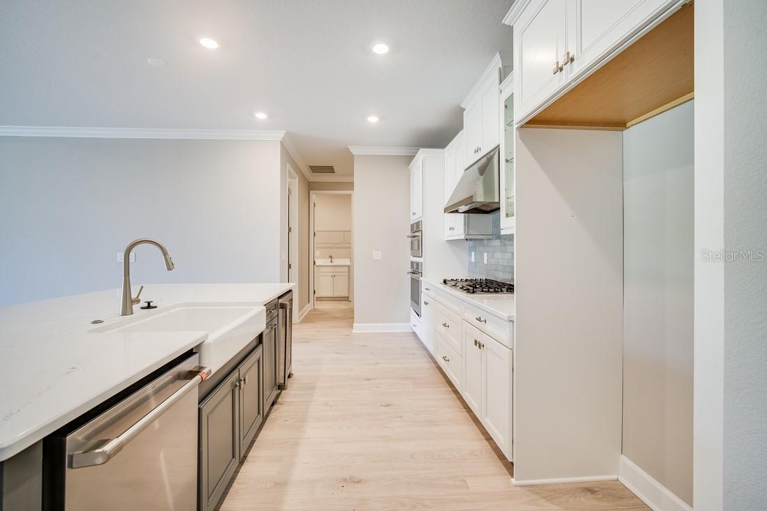 2251 OVERFALLS PL, WESLEY CHAPEL, FL, 33543