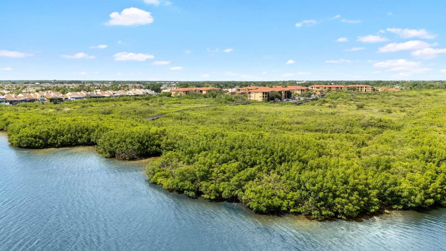 4336 BAYSIDE VILLAGE DR #201, TAMPA, FL, 33615