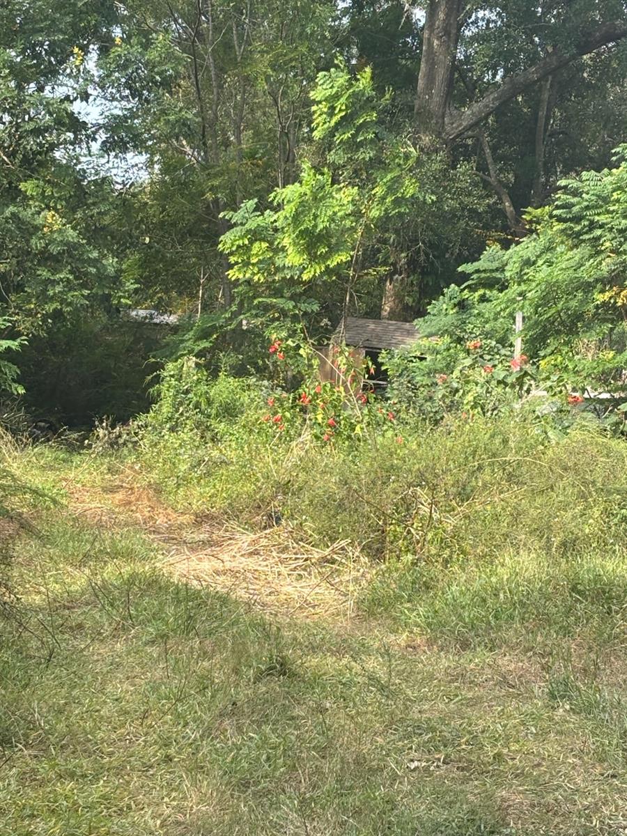 16612 SE 25TH AVE, SUMMERFIELD, FL, 34491