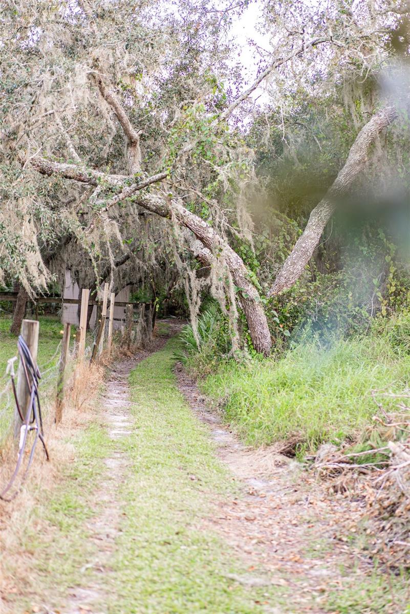 6000 MARTHAS LN, SAINT CLOUD, FL, 34771